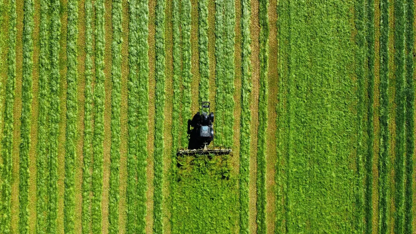 Assessoria Especializada — Melo Agro Engenharia