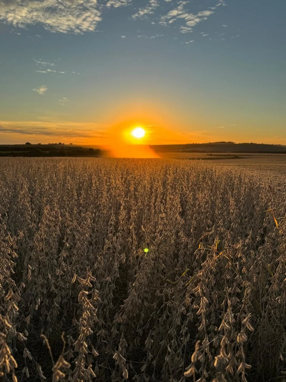 Reestruturação de Crédito Rural — Melo Agro Engenharia